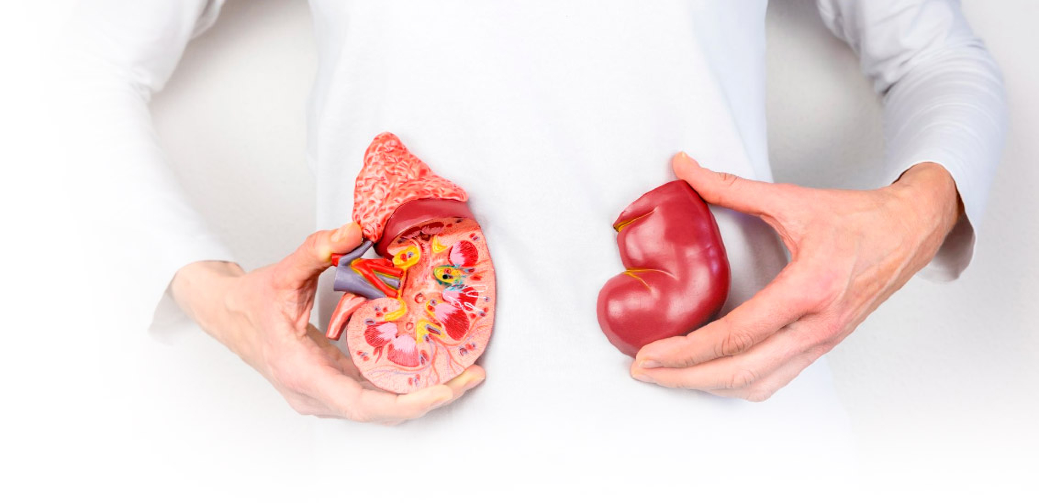 Transplante renal em São Paulo