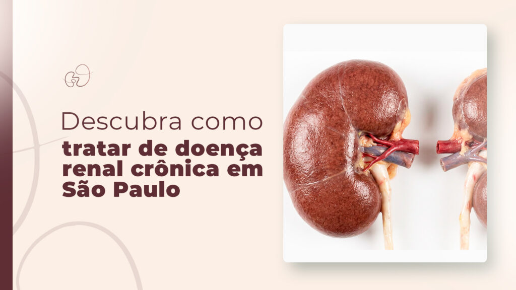 Doença renal crônica em São Paulo: como evitar a progressão da doença?